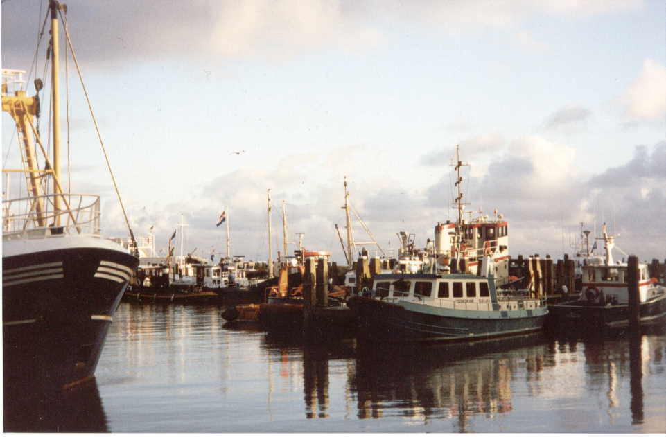 haven.jpg, 49243 bytes, 9/12/2001